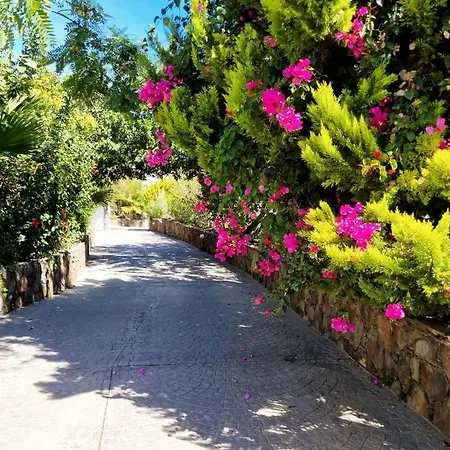De Lujo En Monte Leon San Bartolome de Tirajana (Gran Canaria)